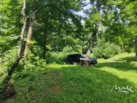 Sale, land lot, 1313m², Drpe, Kolašin - image 10