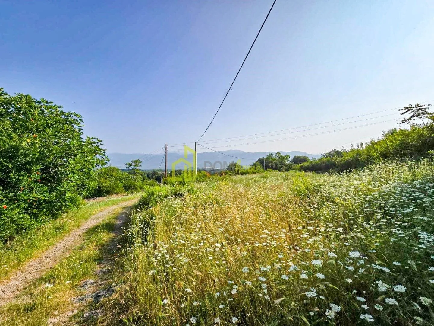 Prodaja, plac, 3000m², Novo Selo, Danilovgrad