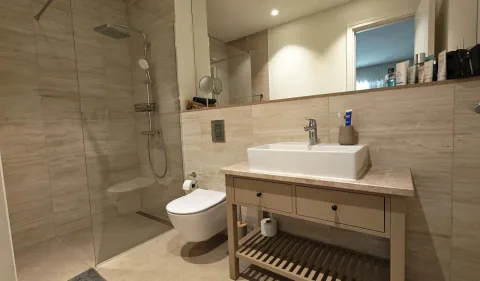 Moderne kupatilo sa tuš kabinom, umivaonikom i ugradnom wc šoljom. - image 9