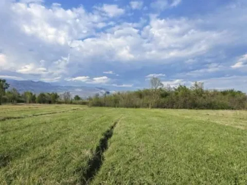 Zemljište in Jastreb