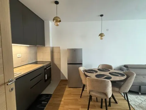 Izdavanje, jednosoban stan, 40m², Stari Aerodrom, Podgorica - image 3