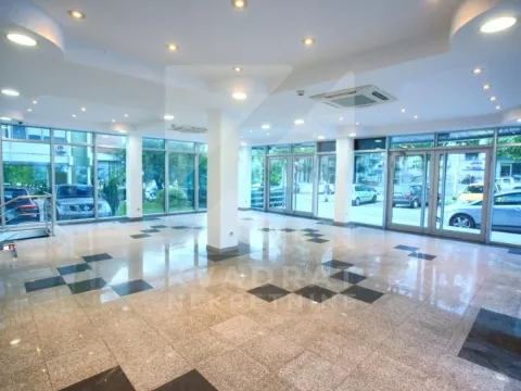 Izdavanje, poslovni prostor, 214m², Autobuska stanica, Podgorica - image 3