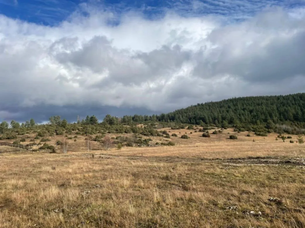 Prodaja, plac, 23000m², Žabljak, Crna Gora