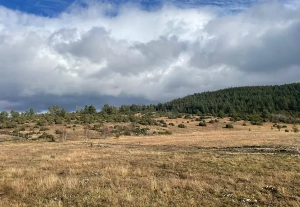 Sale, land lot, 23000m², Žabljak, Crna Gora