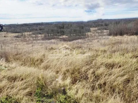 Prodaja, plac, 6653m², Sremčica, Beograd - image 5