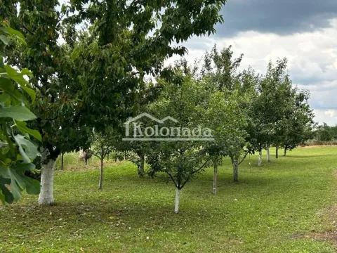 Prodaja, kuća, 148m², Arnajevo, Barajevo - image 20