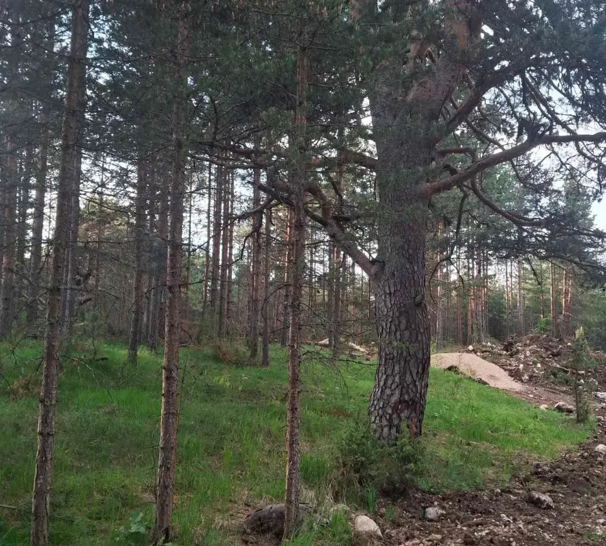 Prodaja, plac, 1150m², Žabljak, Crna Gora