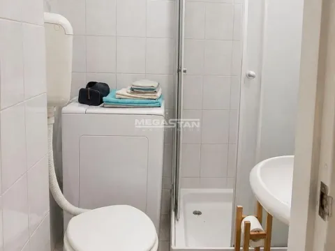 Izdavanje, dvosoban stan, 32m², Vračar Hram, Vračar Sve Podlokacije - image 9