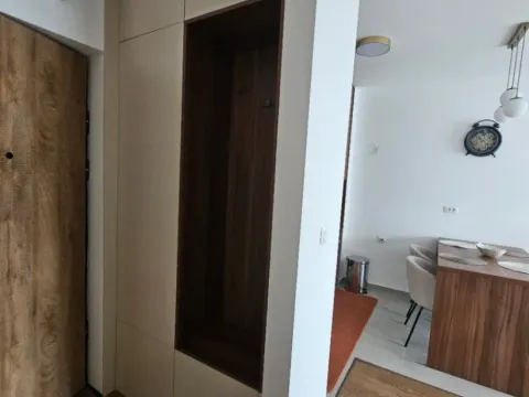 Izdavanje, jednosoban stan, 46m², Centar, Kolašin - image 7