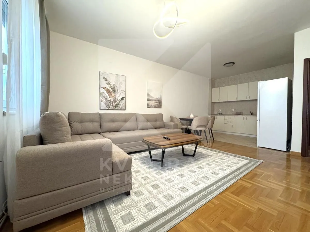 Rent, one bedroom apartment, 54m², Zagorič, Podgorica