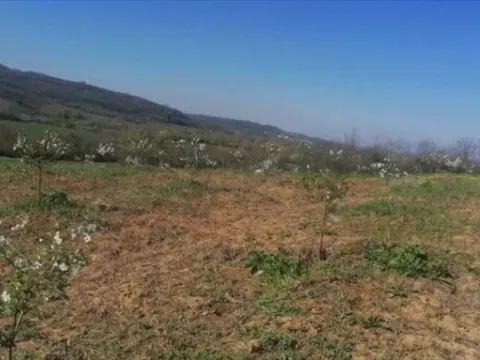 Sale, land lot, 7100m², Umčari, Grocka - image 8