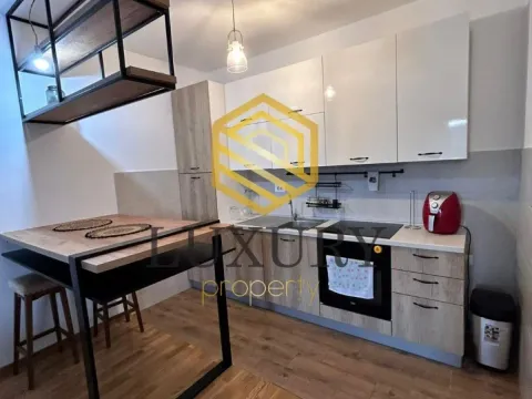 Rent, one bedroom apartment, 42m², Zabjelo, Podgorica - image 9