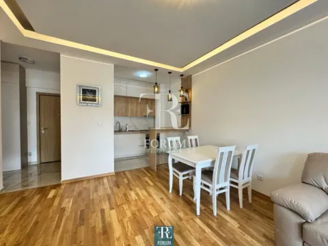 Izdavanje, jednosoban stan, 50m², Vezirov Most, Podgorica - image 5