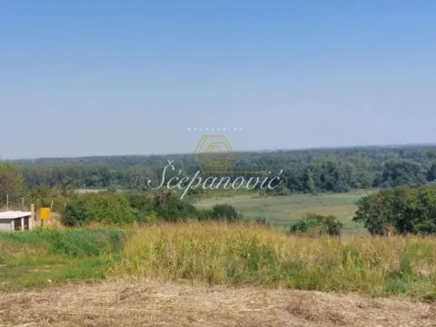 Prodaja, kuća, 360m², Petrovaradin, Novi Sad - image 10