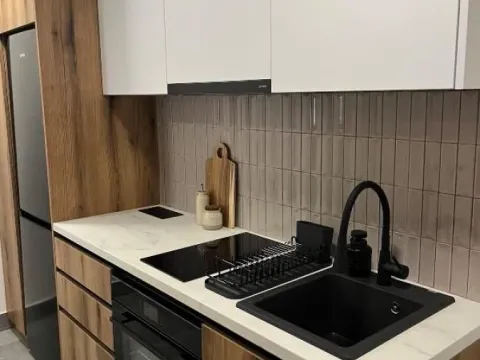 Izdavanje, jednosoban stan, 70m², Vračar Hram, Vračar Sve Podlokacije - image 6