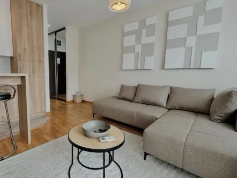 Izdavanje, stan, 30m², Zagorič, Podgorica - image 11