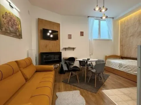 Prodaja, ugostiteljski objekat, 482m², Treska, Kopaonik - image 10