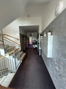 Izdavanje, jednosoban stan, 44m², City Kej, Podgorica - image 2