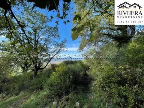 Prodaja, plac, 3300m², Kavač, Kotor - image 1