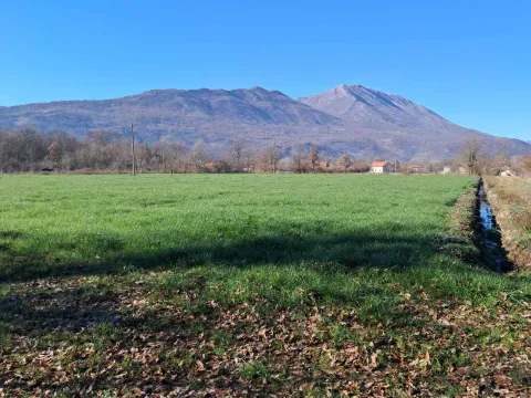 Prodaja, plac, 8337m², Ćurilac, Danilovgrad - image 2