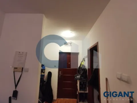 Prodaja, jednosoban stan, 30m², Kluz, Zvezdara Sve Podlokacije - image 5