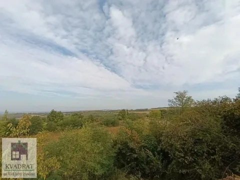 Prodaja, plac, 2500m², Mislodjin, Obrenovac - image 4