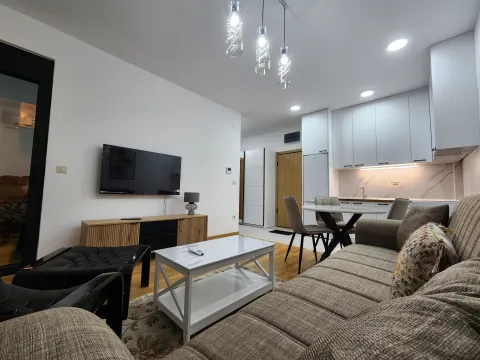 Izdavanje, jednosoban stan, 41m², Rozino, Budva - image 1