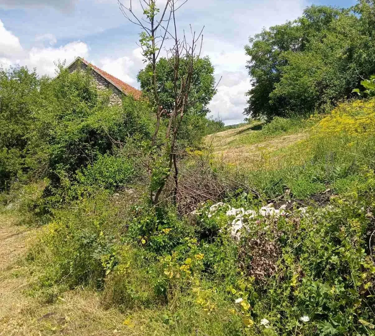 Prodaja, plac, 77200m², Velimlje, Nikšić