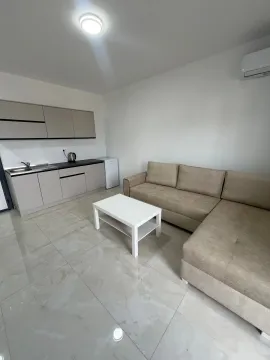 Living room with a sofa and a mini kitchen in light tones. - image 4