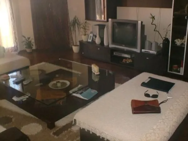 Living room with a wooden table, television, and indoor plants.