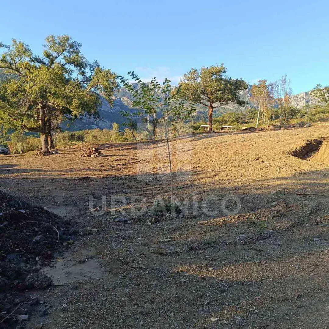 Prodaja, plac, 4800m², Bjeliši, Bar