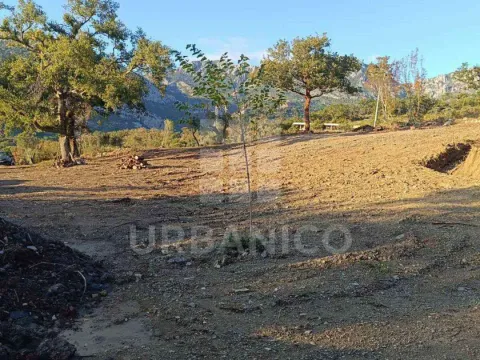 Prodaja, plac, 4800m², Bjeliši, Bar - image 7