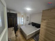 Izdavanje, dvosoban stan, 48m², Satelit, Novi Sad Sve Podlokacije - image 7