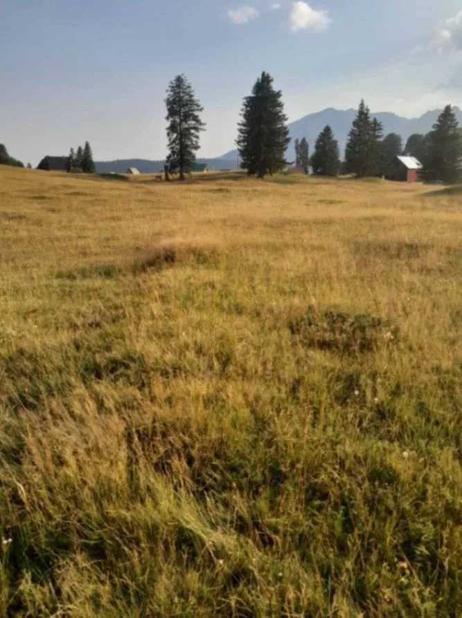 Prodaja, plac, 37000m², Kovačka Dolina, Žabljak