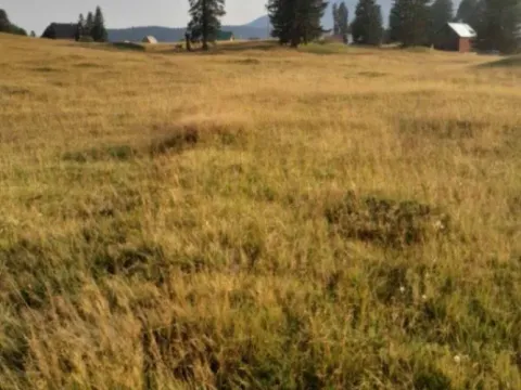 Prodaja, plac, 37000m², Kovačka Dolina, Žabljak - image 3