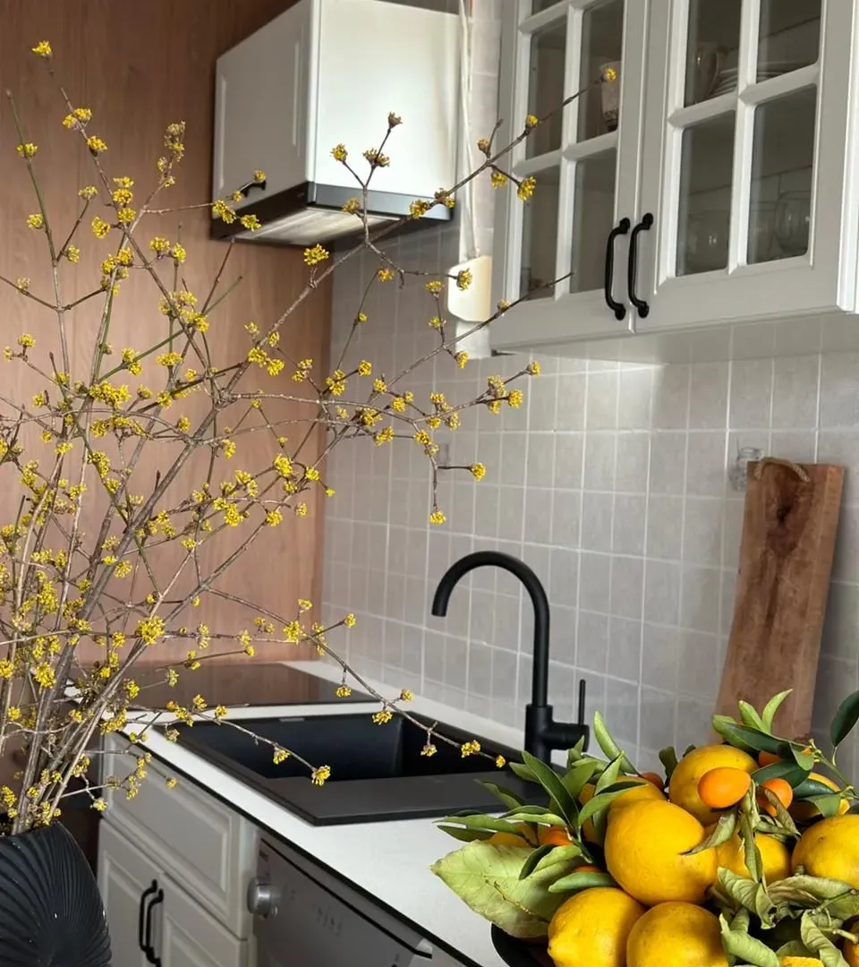 Rent, two bedroom apartment, 63m², Podgorica, Crna Gora