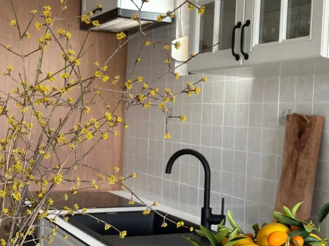 Rent, two bedroom apartment, 63m², Podgorica, Crna Gora - image 7