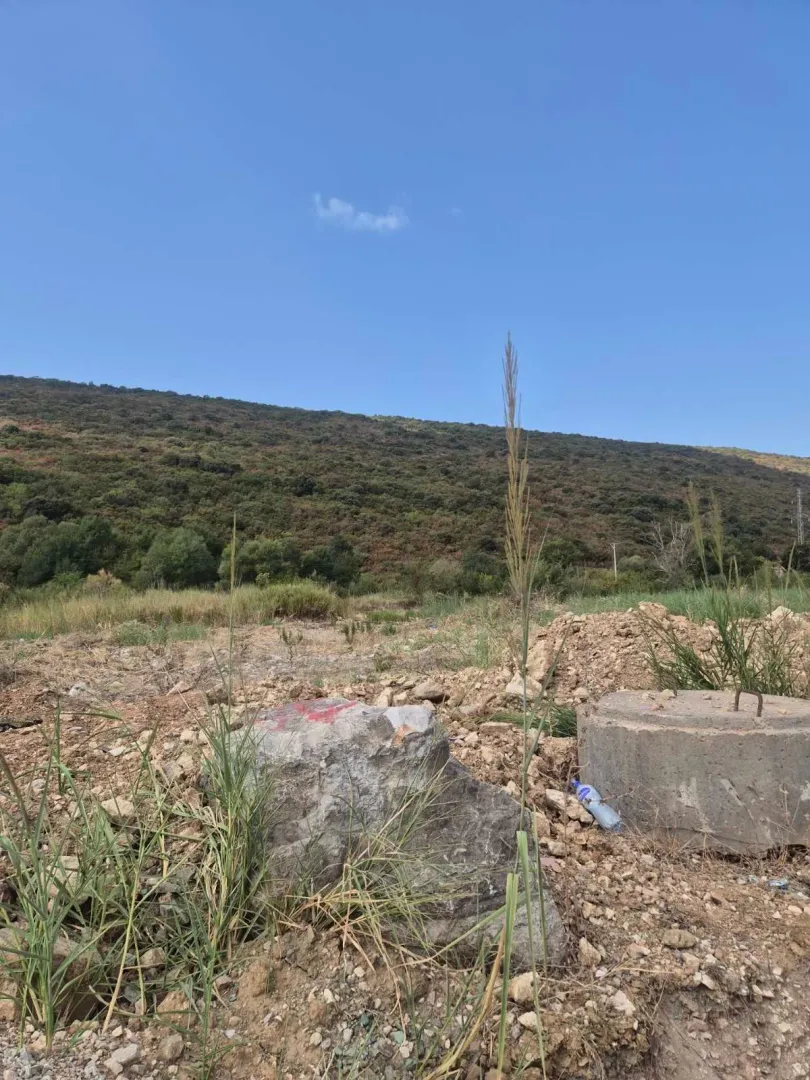 Pogled na plac sa rastinjem i brdom u pozadini.