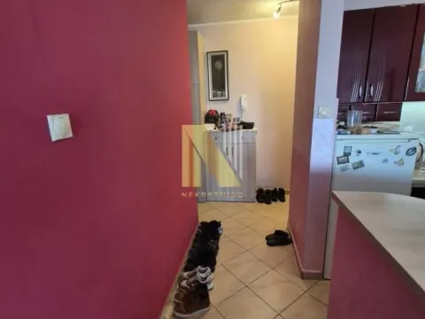 Izdavanje, dvosoban stan, 44m², Cara Dušana, Novi Sad Sve Podlokacije - image 5