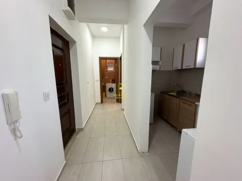 Izdavanje, jednosoban stan, 45m², Stari Aerodrom, Podgorica - image 10