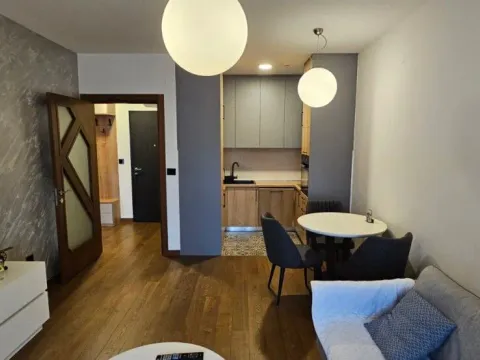 Rent, one bedroom apartment, 48m², Ljubović, Podgorica - image 1