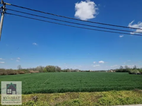 Prodaja, plac, 4300m², Piroman, Obrenovac - image 6