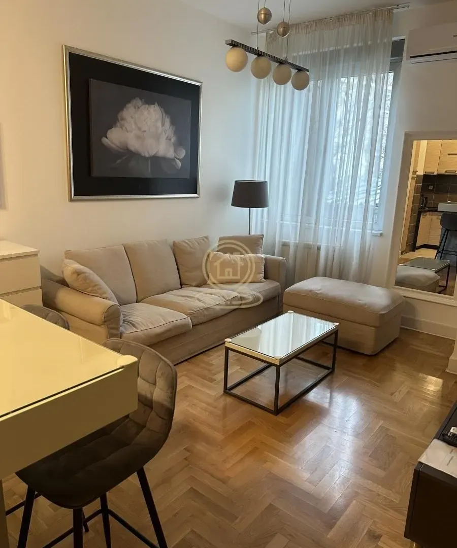 Izdavanje, dvosoban stan, 45m², Vračar Sve Podlokacije, Beograd