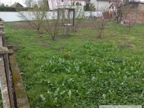 Sale, house, 141m², Pančevo, Srbija - image 4