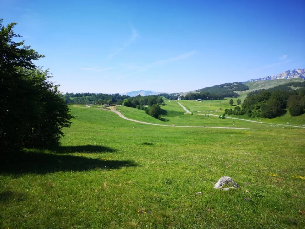 Prodaja, plac, 11500m², Pošćenski Kraj, Žabljak