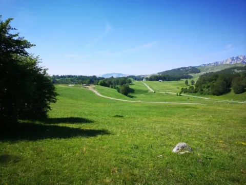 Prodaja, plac, 11500m², Pošćenski Kraj, Žabljak - image 8