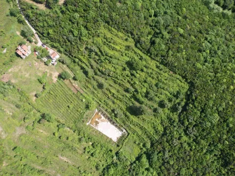 Prodaja, plac, 83000m², Radanovići, Kotor - image 17