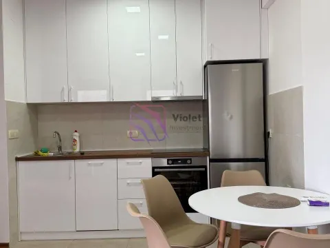 Rent, one bedroom apartment, 45m², Ljubović, Podgorica - image 3