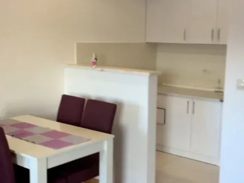 Izdavanje, jednosoban stan, 45m², Stari Aerodrom, Podgorica - image 3