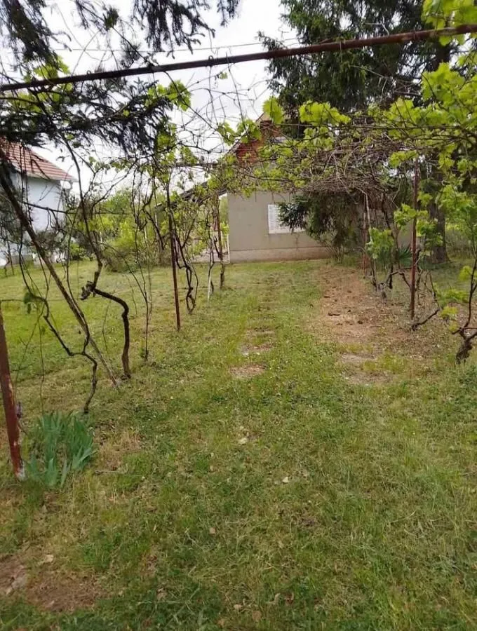 Prodaja, kuća, 24m², Čortanovci, Inđija